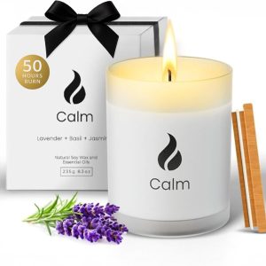 Natur IX Cleansing Scented Candles for Home